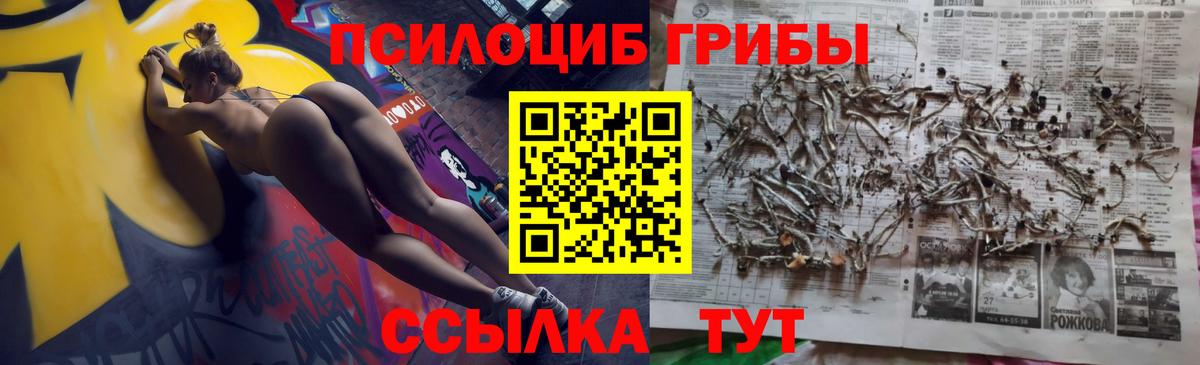 Псилоцибиновые грибы мицелий  Вход с VPN  Чайковский 